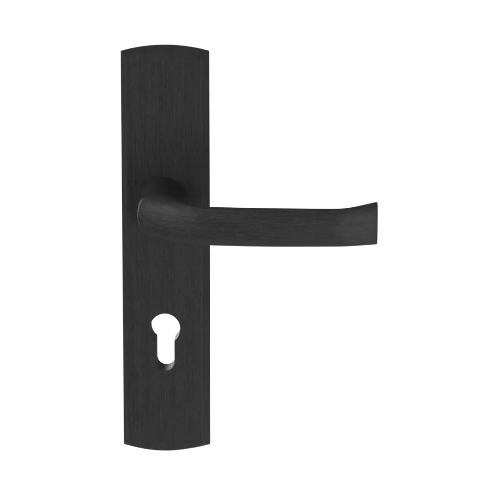 Noir portes-dentree accessoires-de-porte poignees manitoba noir 