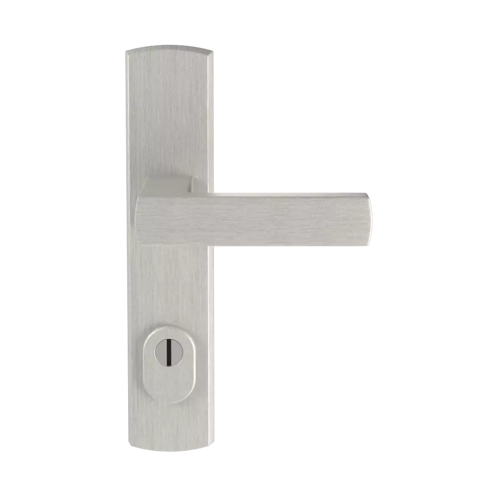 Argent F1 portes-dentree accessoires-de-porte poignees apollo argent-f1 