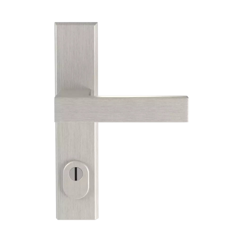 Argent F1 portes-dentree accessoires-de-porte poignees royal argent-f1 