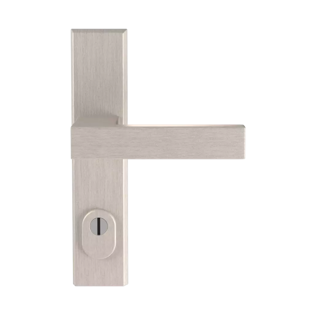 Acier inoxydable F6 portes-dentree accessoires-de-porte poignees royal acier-inoxydable-f6 