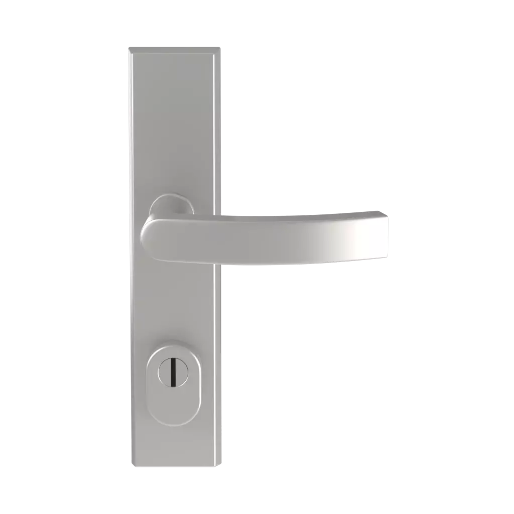 Argent F1 portes-dentree accessoires-de-porte poignees odin argent-f1 